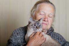 An elderly woman pets a gray long-haired cat close to her